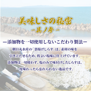 しらす 釜揚げ 定期便 計600g (200g × 3回) しらす