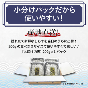 しらす 釜揚げ 定期便 計600g (200g × 3回) しらす