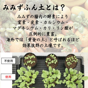 堆肥 30L (15kg) 肥料 堆肥 みみず