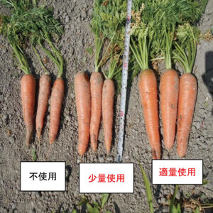 堆肥 30L (15kg) 肥料 堆肥 みみず