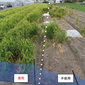 堆肥 30L (15kg) 肥料 堆肥 みみず