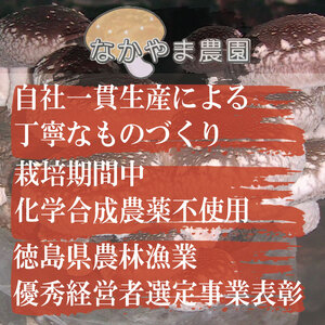 乾燥しいたけ スライス 500g 椎茸 干ししいたけ 乾燥しいたけ