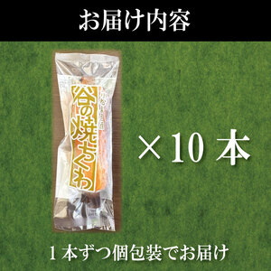 竹ちくわ 10本 ちくわ