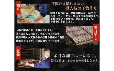 訳あり 特大 アジ 干物 約2.4kg ひもの 詰め合わせ セット