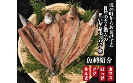 訳あり 特大 アジ 干物 約2.4kg ひもの 詰め合わせ セット