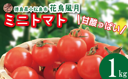 【2026年3月発送】 ミニトマト 花鳥風月 国産 1kg ミニトマト