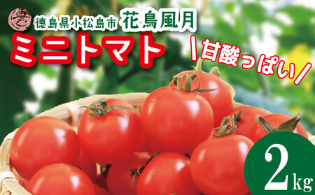 【2026年5月発送】 ミニトマト 花鳥風月 国産 2kg ミニトマト