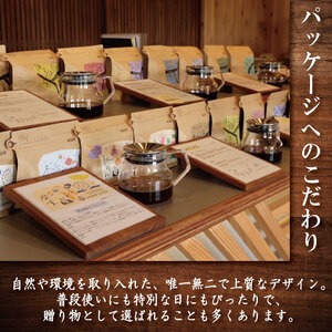 コーヒー 浅煎り 豆 500g コーヒー