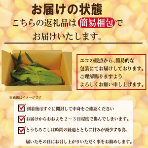 【先行予約】 とうもろこし スイートコーン 2kg 2026年4月より順次発送