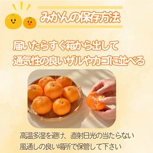 【2025年11月順次発送】 みかん 秀品 温州みかん5kg