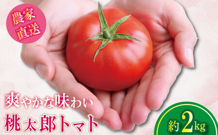 【2026年3月発送】 桃太郎トマト 約2kg 先行予約 トマト