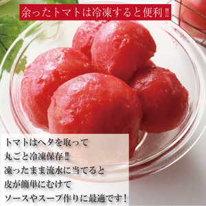 【2026年1月発送】 桃太郎トマト 約3kg 先行予約 トマト