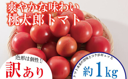 【訳あり】 【2025年12月発送】 桃太郎トマト 約1kg 先行予約 トマト