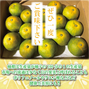 【2025年10月中旬順次発送】 ゆこう 柑橘 1kg ゆこう