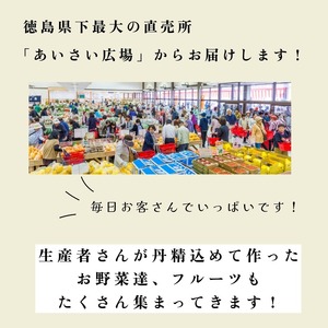 野菜 ５種セット 旬の野菜 詰め合わせ おまかせ 新鮮 採れたて 産地直送