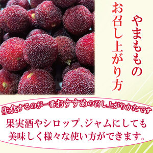 【先行予約】 やまもも フルーツ 400g レア やまもも 2025年6月下旬順次発送