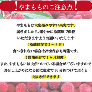 【先行予約】 やまもも フルーツ 400g レア やまもも 2025年6月下旬順次発送
