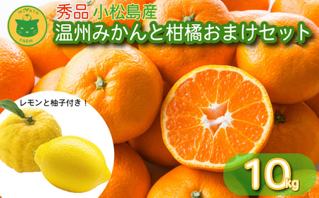 温州みかんと柑橘おまけセット 10kg 2025年10月順次発送 みかん ミカン 蜜柑 甘い フルーツ 柑橘 ジュース ゆず レモン 小松島市