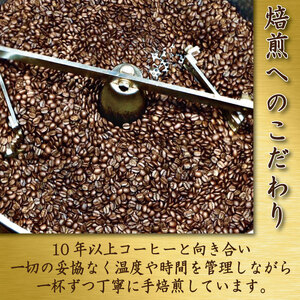 季節のコーヒー 粉 定期便 6回 220g コーヒー