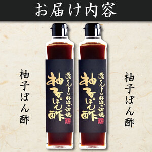 ゆずポン酢 300ml×2本 セット ポン酢 柚子