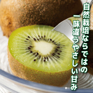 キウイフルーツ 1kg キウイ