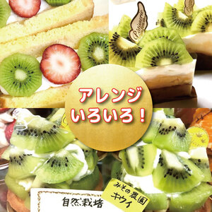 キウイフルーツ 1kg キウイ