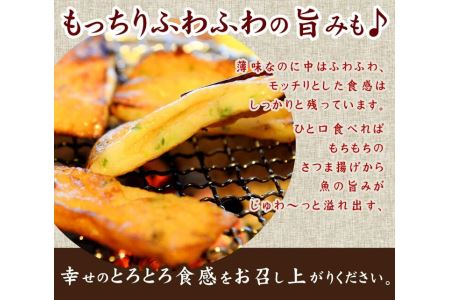 さつま揚げ 5種 20枚入り 食べ比べ セット 練り物 個包装 徳島県 冷蔵 【 国産 さつま揚げ 徳島産 さつま揚げ 人気 さつま揚げ 食べ比べ さつま揚げ 】