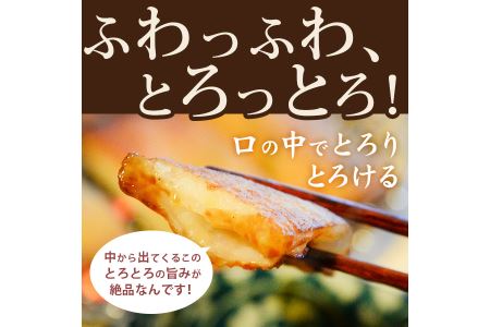 練り物 詰め合わせ 6種 計12枚入り 国産 冷蔵 ねぎ天 イカ天 角天 ごま天  フィッシュカツ  