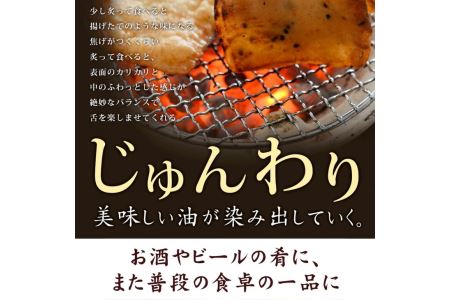 練り物 詰め合わせ 6種 計12枚入り 国産 冷蔵 ねぎ天 イカ天 角天 ごま天  フィッシュカツ  