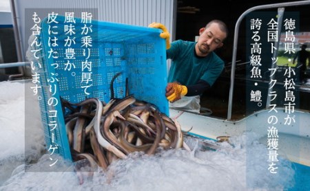 鱧 天ぷら 6個× 2袋セット 冷凍 徳島県 鱧 ハモ 魚介