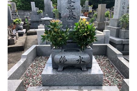 お墓 参り 代行 サービス お掃除 2回 雑草 除去 除草 草むしり お盆 お彼岸 里帰り 徳島県 4平方メートル 以内