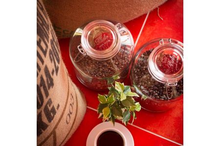 コーヒー ドリップ 粉 500g 中挽き 港 ブレンド 自家 焙煎 コーヒー