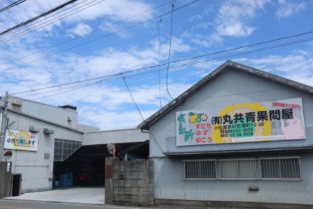 ゆず 生酢 180ml 1本 天然 果汁 100％ 