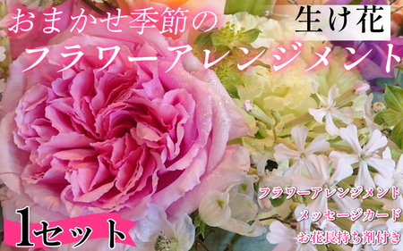 母の日 お花 フラワーアレンジメント のギフト のプレゼント 母の日の贈り物