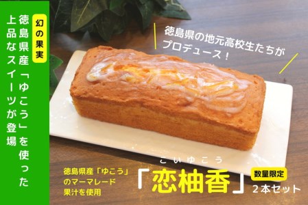 パウンドケーキ 2本 セット 国産 徳島県 スイーツ 洋菓子 柑橘 ギフト ※配送指定不可 