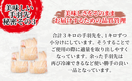 手羽先 3kg 1kg×3パック 冷凍 国産 徳島県 唐揚げ 徳島地鶏 阿波尾鶏 塩ガーリック味 家庭用 おつまみ お弁当 