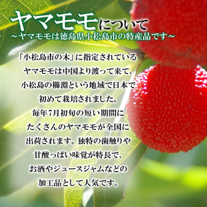 菓子 やまももパイ 12個入り 個包装 常温 国産 徳島県 名菓 焼き菓子 洋菓子 和菓子 ケーキ 