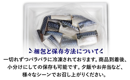 サバ 1.3kg 冷凍 切り身 すだち風味 小分け さば さば さば さば さば