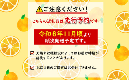  みかん 10kg 秀品 M~L 常温 国産 徳島県 勝浦産 果物 早生 産地直送 数量限定 