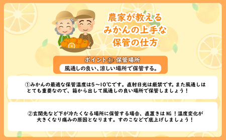  みかん 10kg 秀品 M~L 常温 国産 徳島県 勝浦産 果物 早生 産地直送 数量限定 