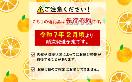 【先行予約】 熟成 みかん 10kg 秀品 M~L 国産 徳島県 勝浦産 果物 蜜柑 温州 産地直送 数量限定 