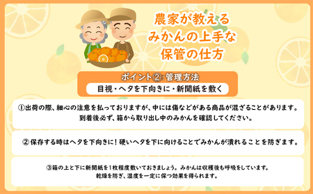 【先行予約】 熟成 みかん 10kg 秀品 M~L 国産 徳島県 勝浦産 果物 蜜柑 温州 産地直送 数量限定 