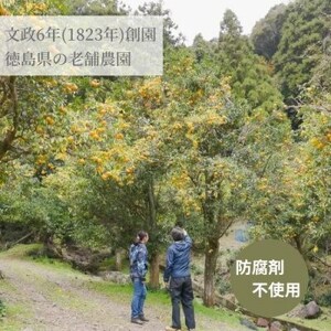 徳島特産のゆこうで作ったシロップとすだち・ゆずの果汁セット_果物・フルーツ  柑橘 _【1209857】