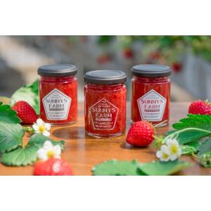 無添加 純苺ジャム 3個化粧箱詰め合わせ_惣菜・加工品 ジャム 缶詰・瓶詰 _【配送不可地域:離島】【1210429】