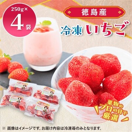 冷凍いちご　(徳島産)　1000g　(250g×4)　冷凍ストロベリー_果物・フルーツ いちご  イチゴ 苺_【配送不可地域：離島】【1236562】