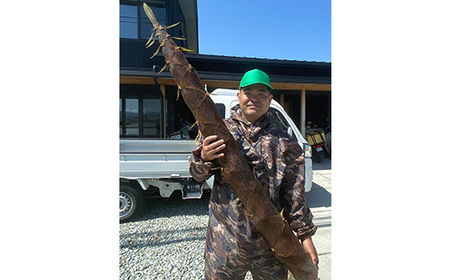 徳島県産　純国産メンマ　ひのまるメンマ　【ピリ辛】　5個セット_惣菜・加工品   _【1445620】