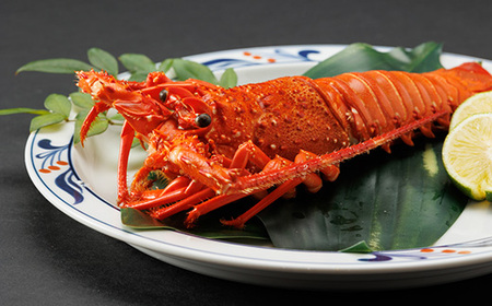 伊勢海老塩蒸し　150g_魚介・海産物 伊勢海老 エビ いせえび 伊勢エビ_【配送不可地域：離島】【1553209】