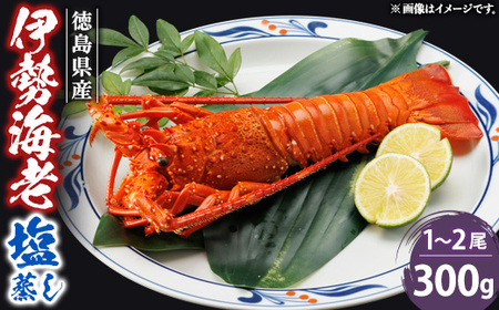 伊勢海老塩蒸し　300g_魚介・海産物 伊勢海老 エビ いせえび 伊勢エビ_【配送不可地域：離島】【1553457】
