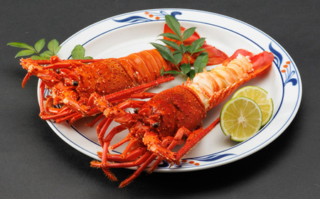 伊勢海老塩蒸し　500g_魚介・海産物 伊勢海老 エビ いせえび 伊勢エビ_【配送不可地域：離島】【1553459】