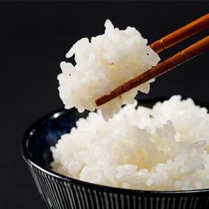 【玄米10kg】紗奈～はまだ農園 　玄米(コシヒカリ)_ 玄米 米 こめ コメ   コシヒカリ 米 こしひかり_【1600213】